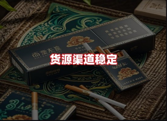 专业团队